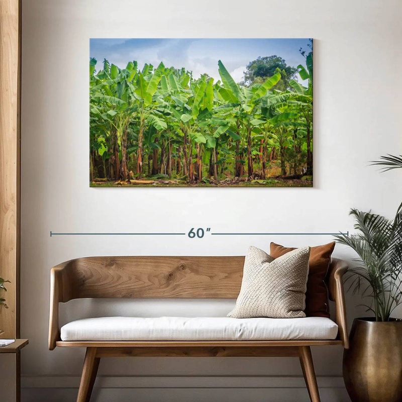 Plantation de bananes Harnek, H 30 po x l 45 po