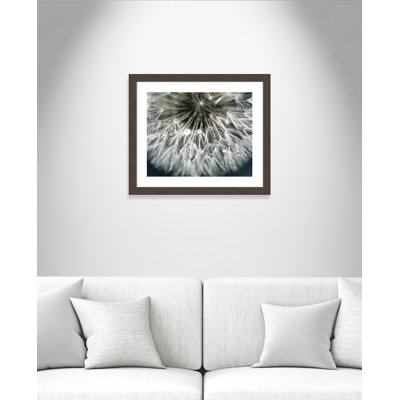 «Dandelion Wishes», reproduction encadrée sur papier Edgemont