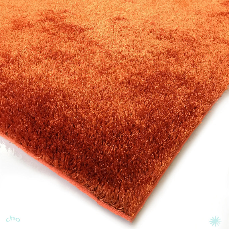 Tapis touffeté à la main «Fuzzy Shaggy»