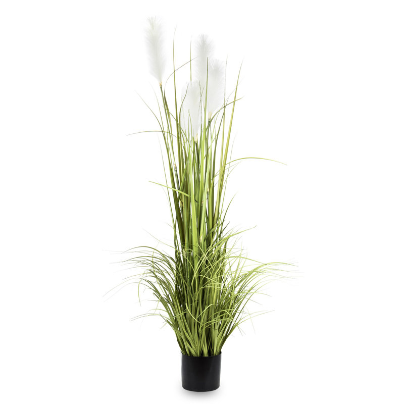 Faux Evergreen Grass in Pot, 150cm H x 90cm W x 90cm D, Green/White