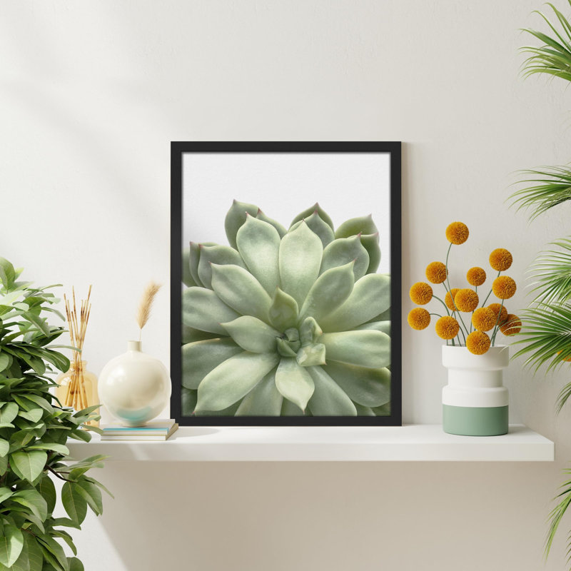 «Succulent Cactus Close Up Southwest Green Lily Pad» sur papier, H 10 po x l 8 po, Noir