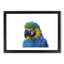 Macaw Parrot - Framed Print-55577500-55577505