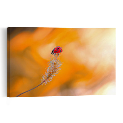 Ladybug In Orange Peaceful Serene Vibrant Ladybug Autumn Nature Wall Art Print by Thierry Dufour - Print