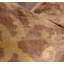 Coussin décoratif-435299645-435299646-435299647