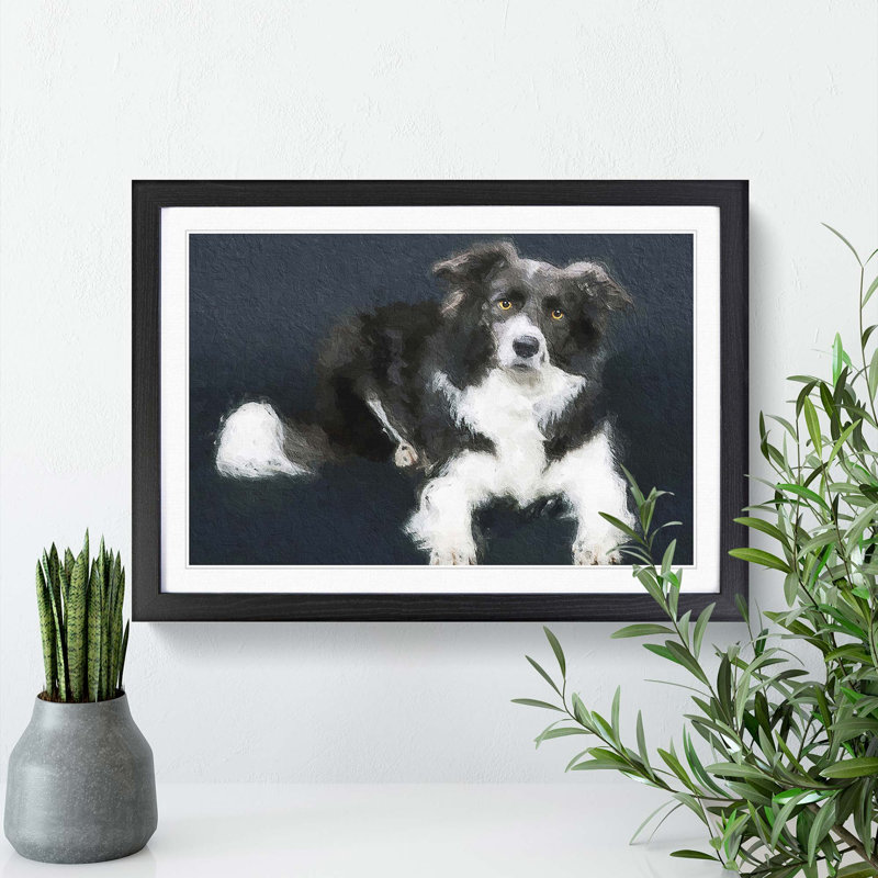 Resting Border Collie Dog - Picture Frame Painting Print, Black Framed, 36cm H x 48cm W x 2cm D