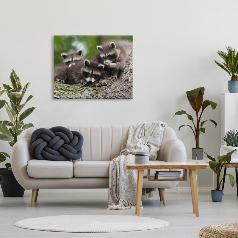 «Raccoon Babies In Tree» par Jan Piecha, H 30 po x l 40 po x P 1,5 po