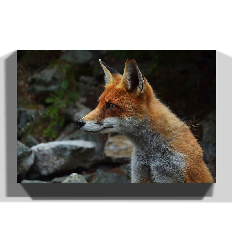 Wrapped Canvas Print, 35cm H x 50cm W