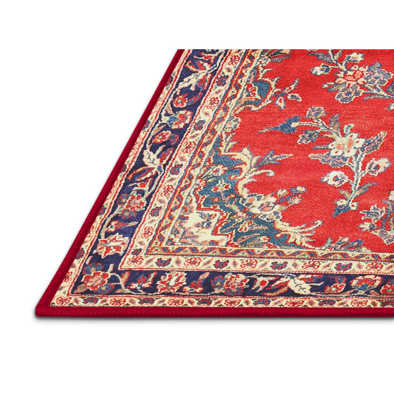 Cassen Oriental Indoor Rug, Rectangle 2' x 4'