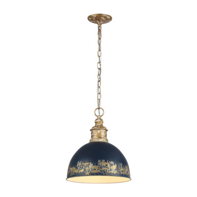 Luminaire suspendu 1 lumière Regena