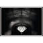 Secrets In Light 1 Print-921658674