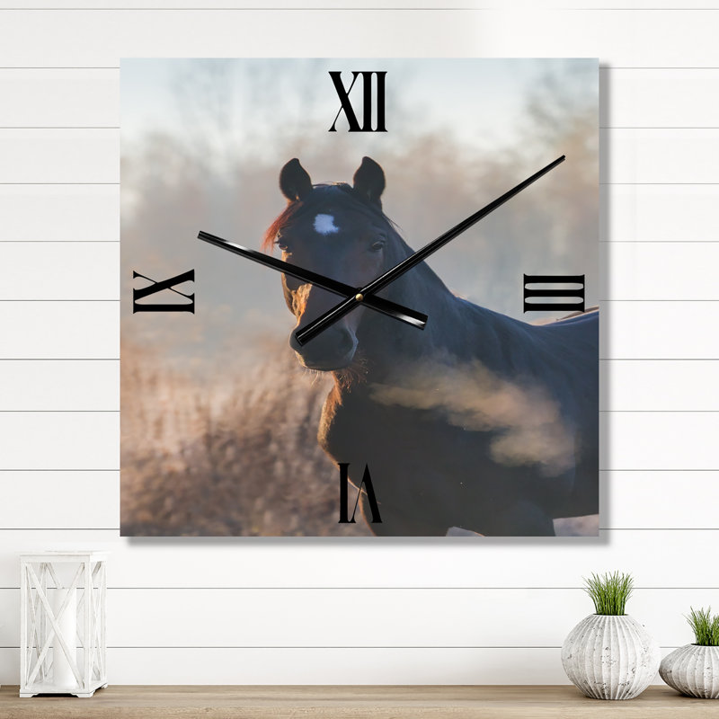 Portrait d'un cheval sur une horloge murale matin d'automne, Petit