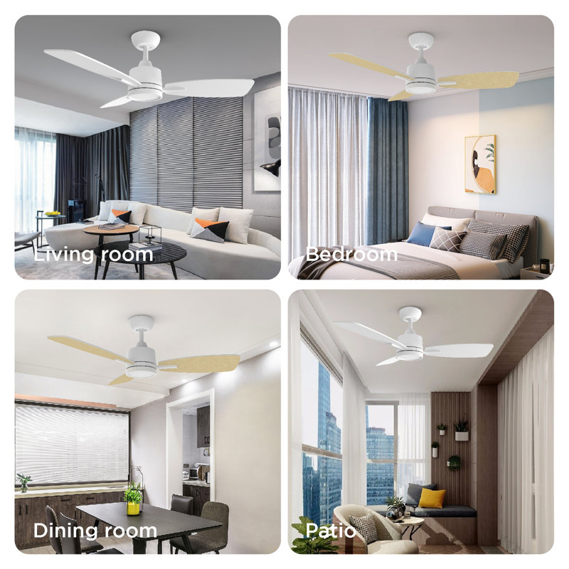 Emidia 42 inch Standard Ceiling Fan with LED Lights Indoor, White, 42"