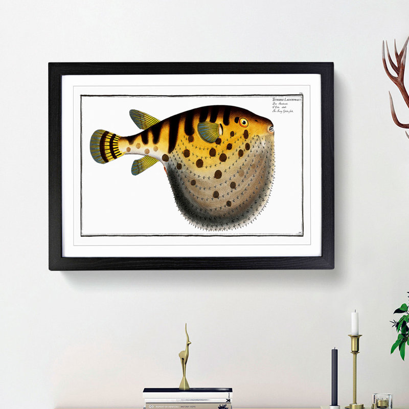 Pufferfish by M.E. Bloch - Framed Print, 48cm H x 65cm W x 2cm D, Black Framed