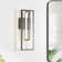 Minot Aluminum LED Flush Mounted Sconce