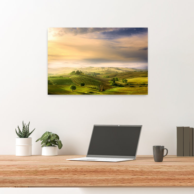 Paysage toscan du matin, paysage paisible de cyprès serein et paisible, H 16 po x l 24 po