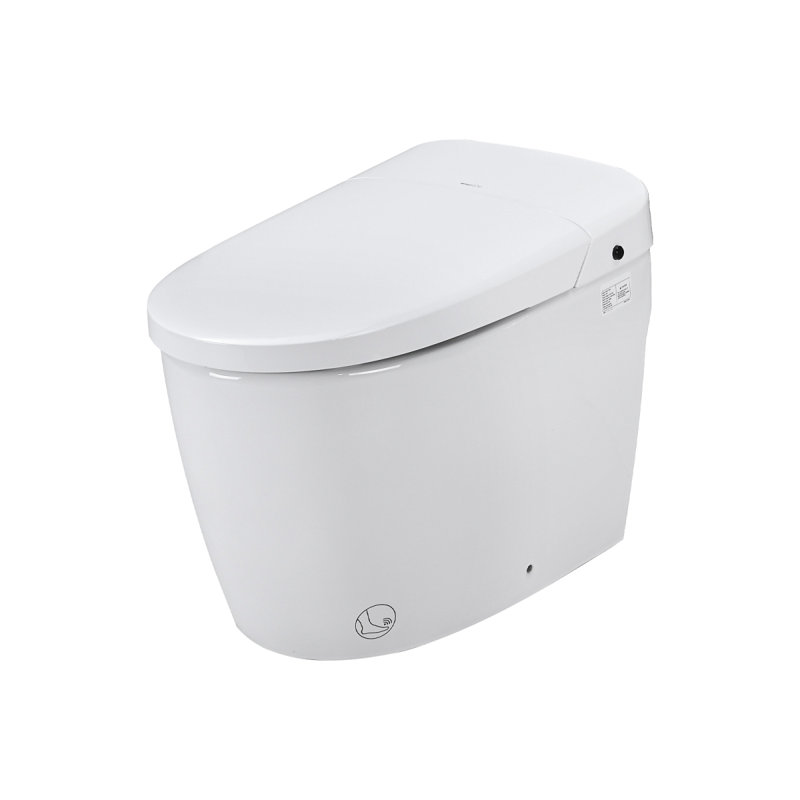 Smart Toilet Bidet Combo With Selfcleaning Nozzle, Heated Seat, Night Light, Knob Control, Power Outage Flushing, Soft Close, Auto Flush, With Remote Control