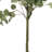 Artificial Eucalyptus Tree In Plastic Nursery Pot-1395723988