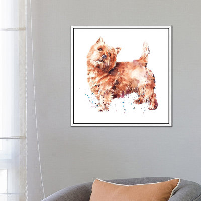 Norwich Terrier - Painting on Canvas