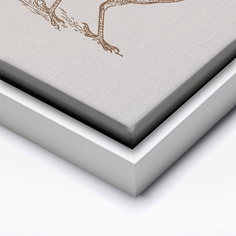 Roadrunner brun, Canvas, White Framed, 16"H x 20"W
