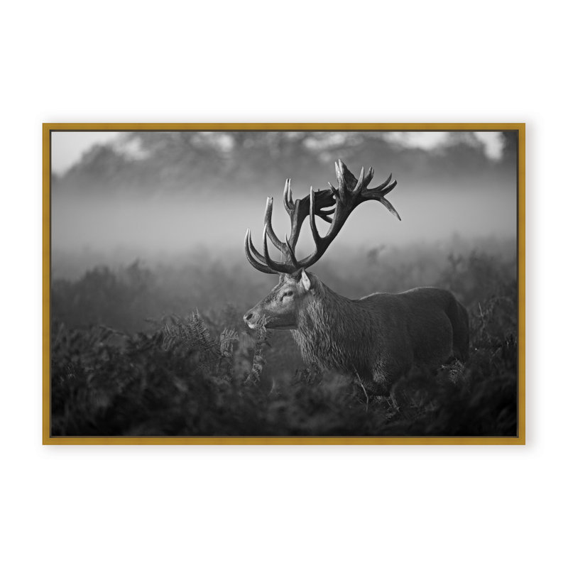 Nature Inspired Sunny Morning by  - Picture Frame Photograph on Paper, 32" H x 48" W x 1.125" D, Framed Matted Print, White