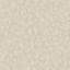 Surfaces Collection Bark Texture Wallpaper Roll-397560264