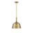 Saxon 1-Light Dimmable Dome Pendant-1953057659