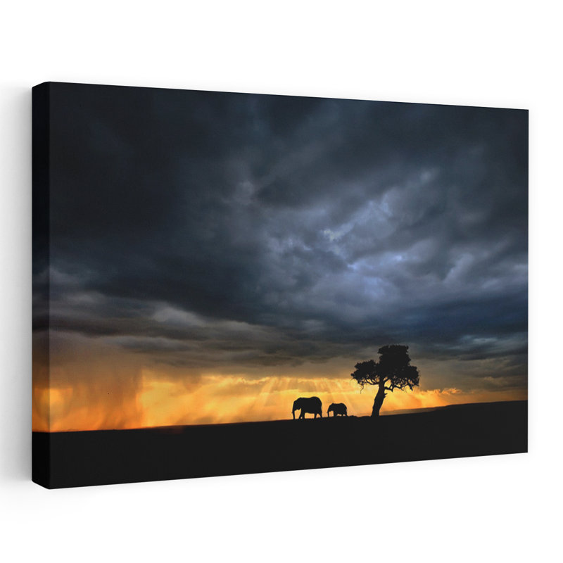 Xavier Ortega - Wrapped Canvas Print, 30.48 cm H x 45.72 cm W