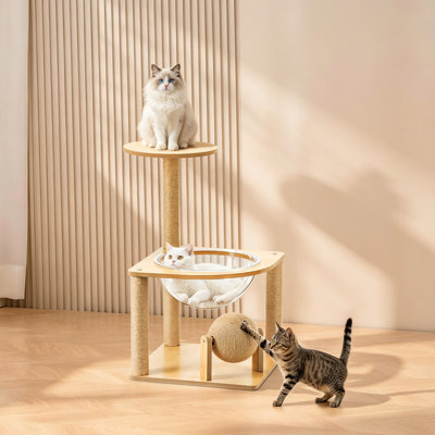 Arbre à chat à 2 niveaux avec nacelle en acrylique, mini-chat avec poteaux à griffes et boule suspendue, pour petits animaux de compagnie