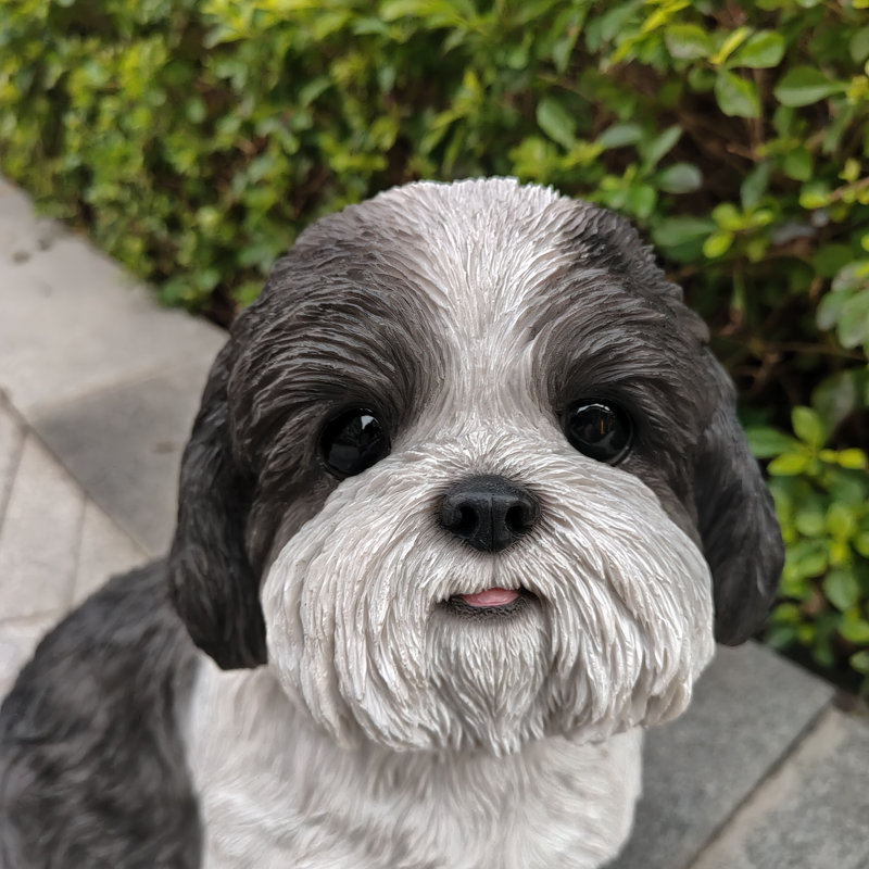 Shih Tzu Harmony: élégante figurine en polyrésine, Noir / blanc