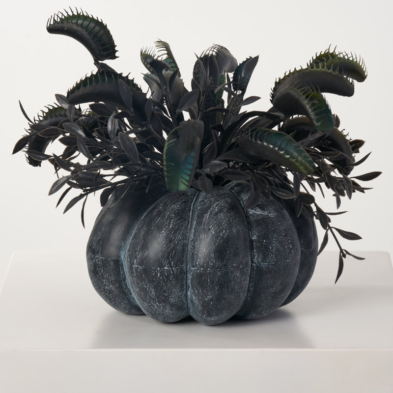Arrangement in Pot