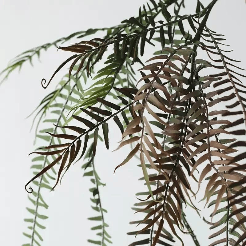 Branche de fougère en cascade - 27,5 po, Natural Green, [A] 1 tige