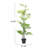 Faux Fern Tree in Plastic Pot