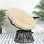 Outdoor Lounge Chair with Cushions