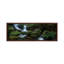 Hello Horseshoe by Jason L. Stephens - Panoramic Print on Canvas-1894194164-1894194166
