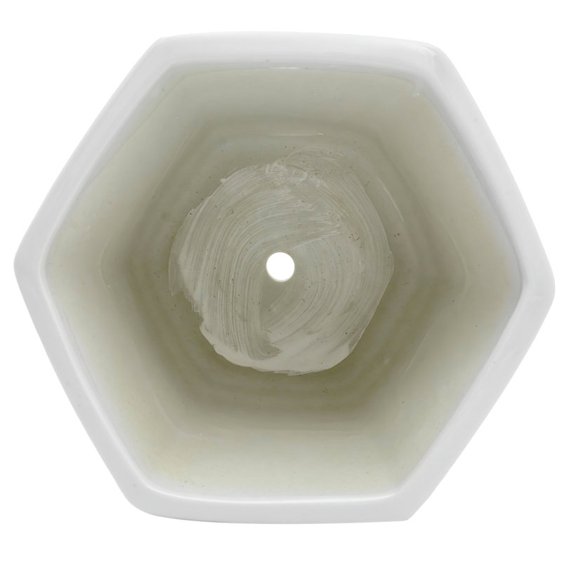 Chinese Porcelain Pot Planter, White