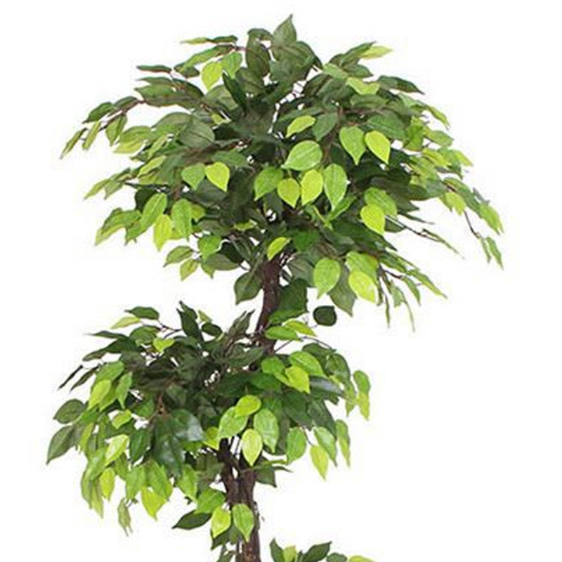 Anlin 150cm Faux Ficus Tree in Pot