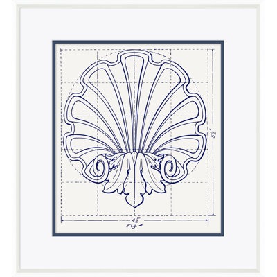 «White Shell Study» par David Phoenix - reproduction encadrée sur papier