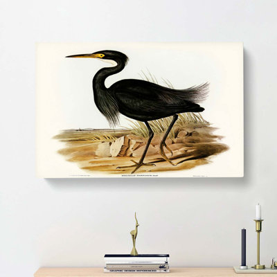 Sombre Egret by Elizabeth Gould - Wrapped Canvas