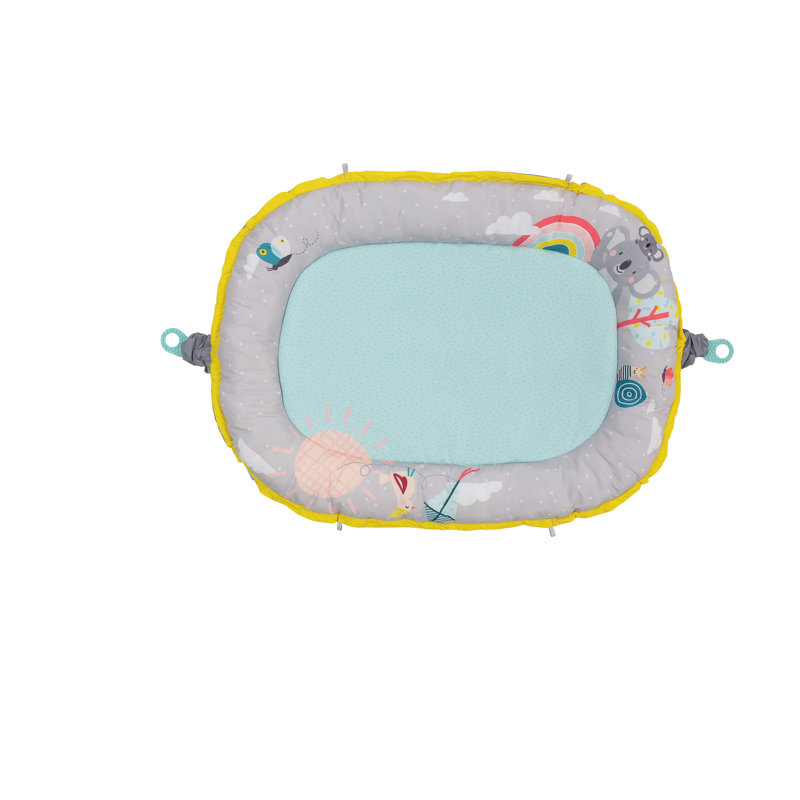 Baby Gym Mat