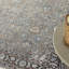 Camyria Oriental Area Rug-1773631997