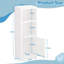 Meahan Bathroom Cabinet