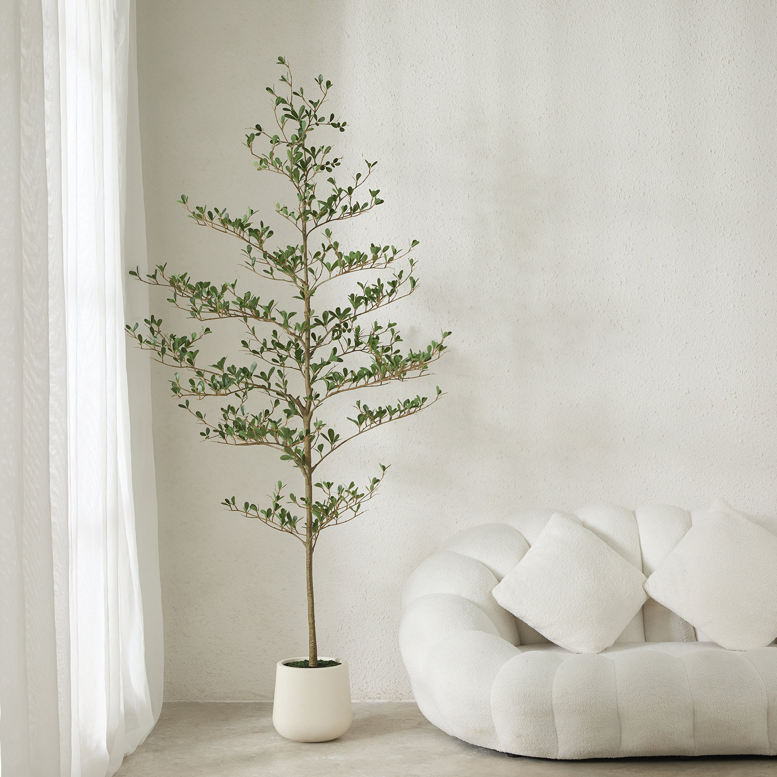 Adcock Olive Tree in Planter, 72" H x 24" W x 24" D