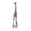 Girafe debout Winscott