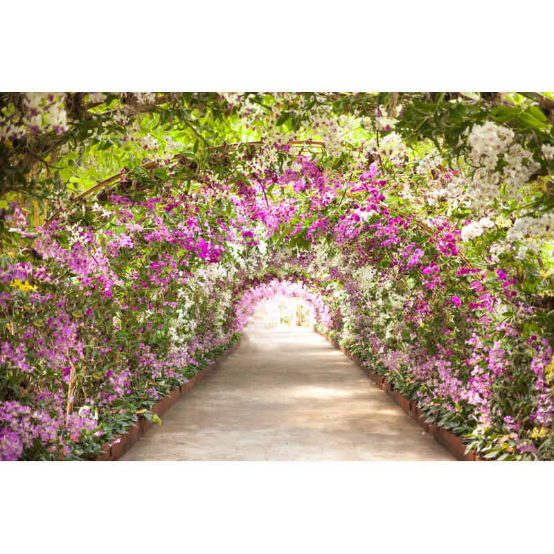 Sentier dans un jardin botanique par Nopparatz - photographie sur toile tendue, L 12 po x H 8 po