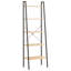 Cassandria 174 cm H x 56 cm W Steel Ladder Bookcase-1830072128-1830072131