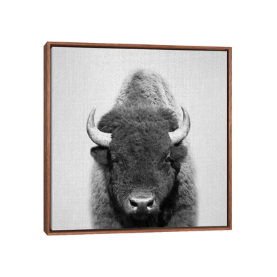 " Buffalo " by Gal Design
