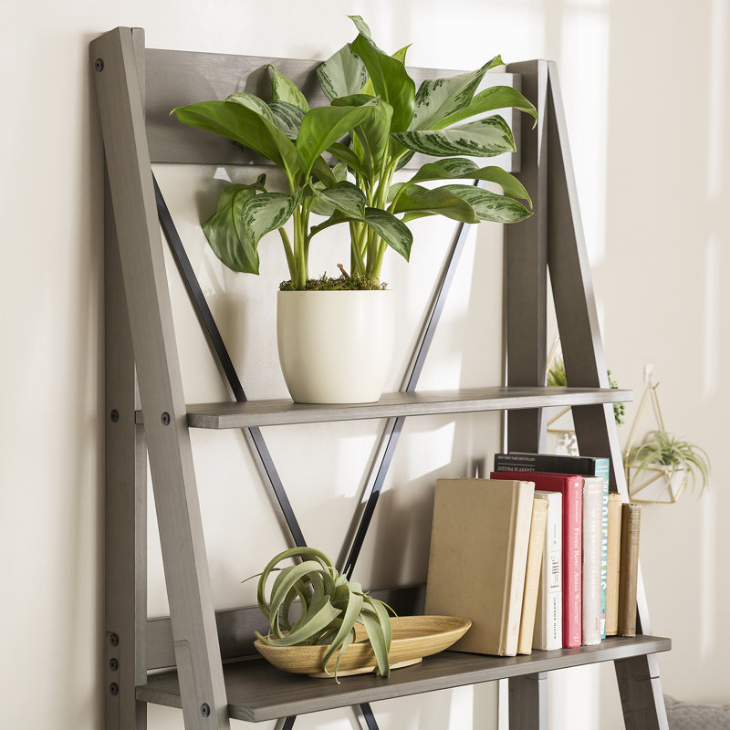 Perseus 79cm W Ladder Bookcase, Grey