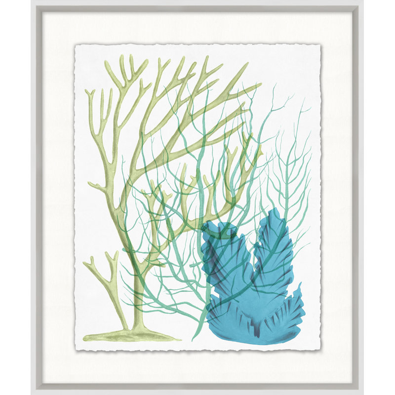 Deep Sea Kelp 3 Print