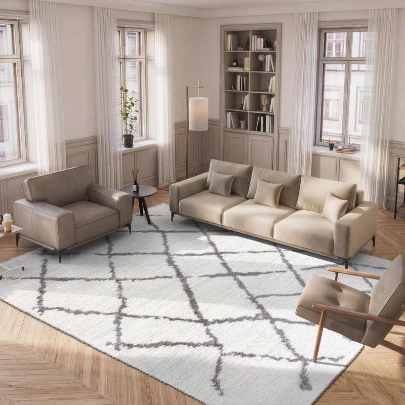 Tapis à poils longs Zettie, Rectangle 8 pi x 10 pi