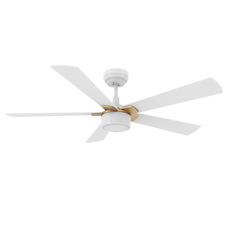  5 Blades Smart LED Standard Ceiling Fan Remote Control with Light Kit Included